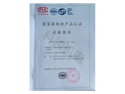 國家強制性認(rèn)證試驗報告：三相異步電動機